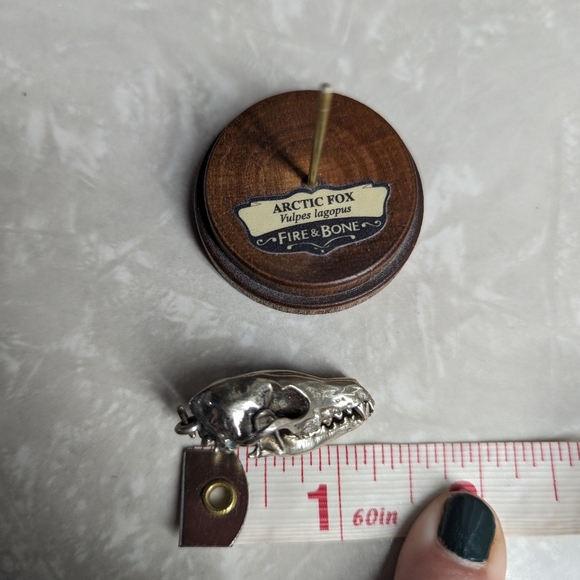 Arctic Fox articulated skull - miniaturized model by Fire & Bone in white bronze - Picture 3 of 4